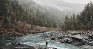 Credit cards for freelancers and small business owners
